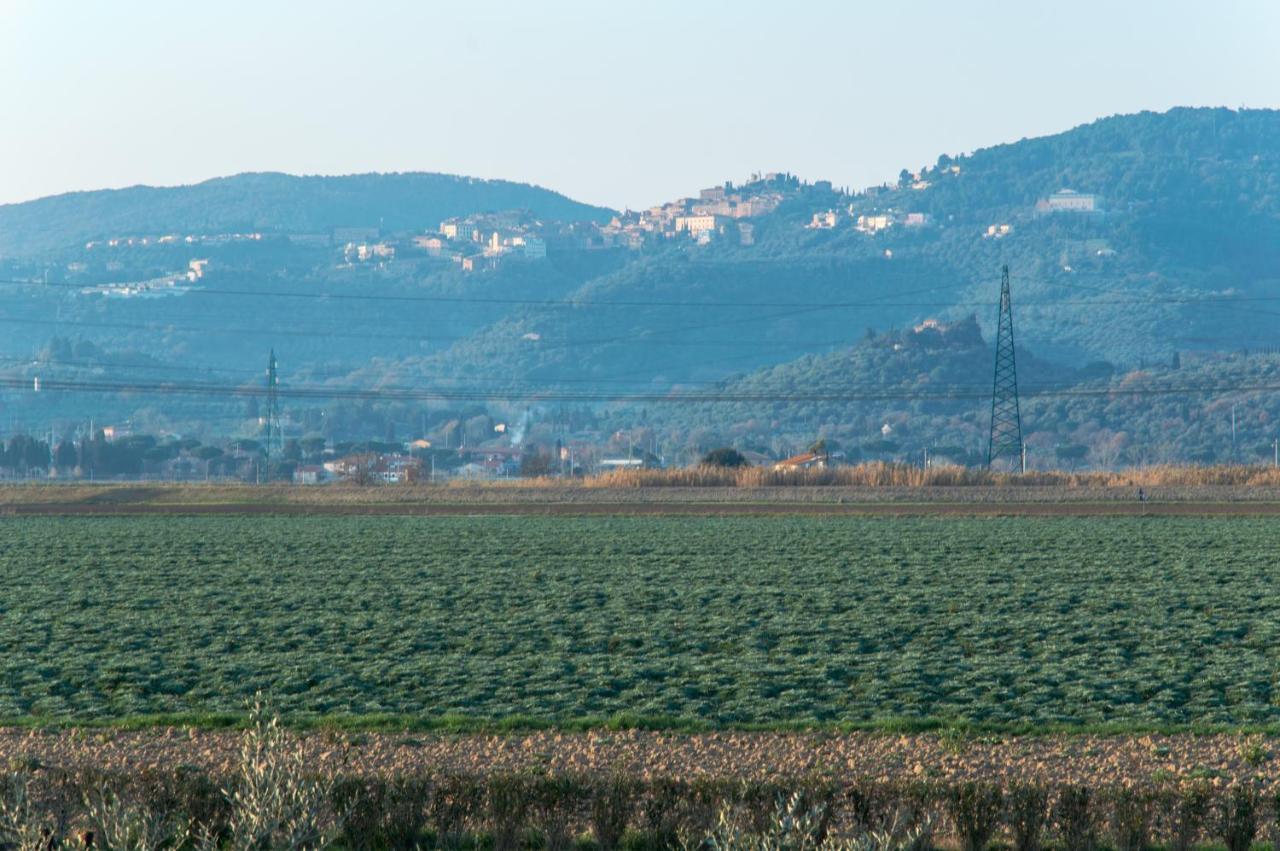 Agriturismo Il Cuscino Nel Pagliaio Campiglia Marittima Eksteriør bilde