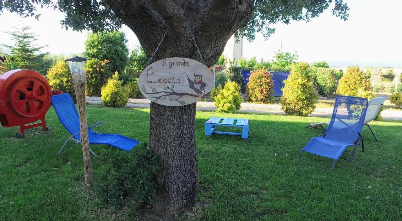 Agriturismo Il Cuscino Nel Pagliaio Campiglia Marittima Eksteriør bilde