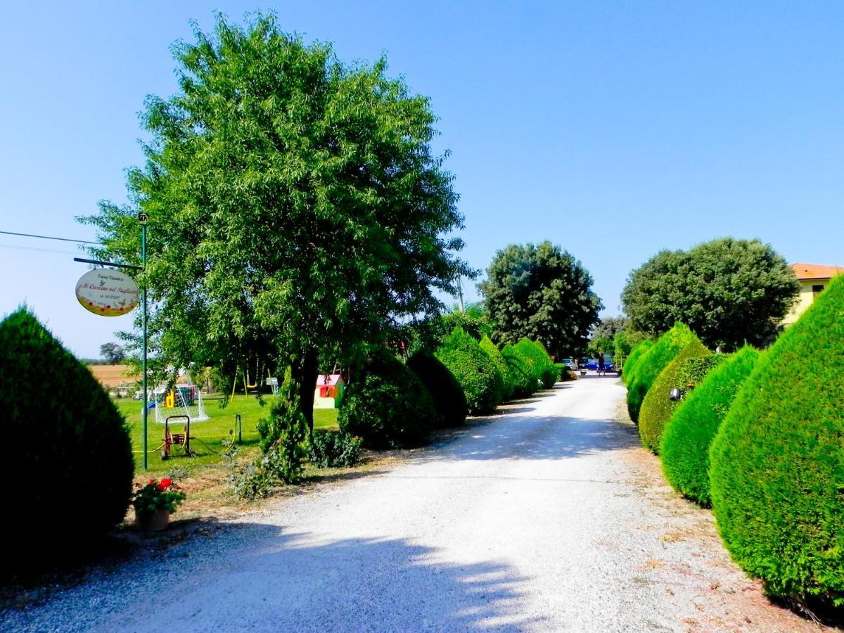 Agriturismo Il Cuscino Nel Pagliaio Campiglia Marittima Eksteriør bilde