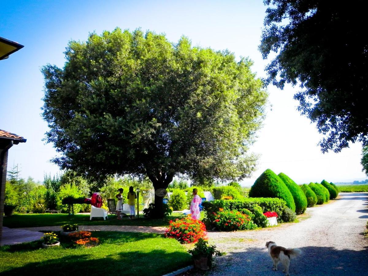 Agriturismo Il Cuscino Nel Pagliaio Campiglia Marittima Eksteriør bilde