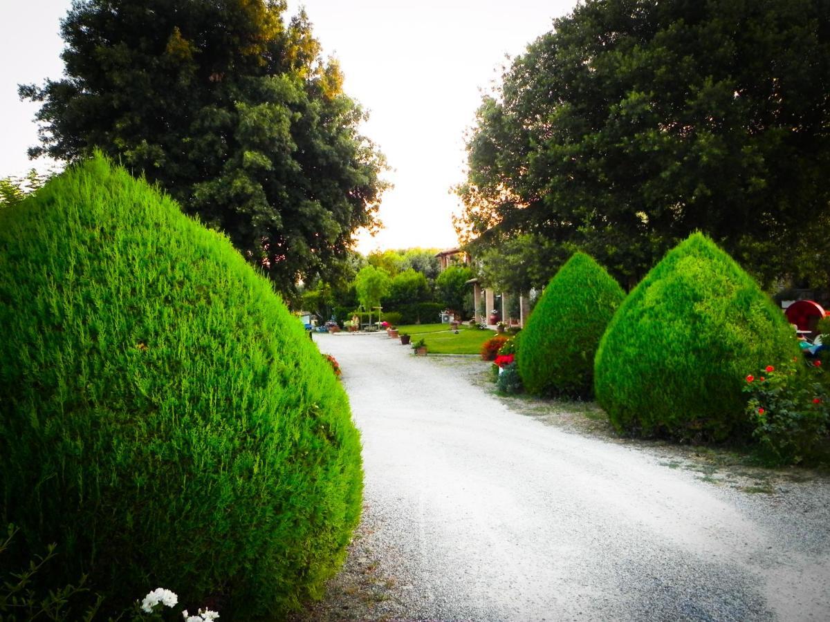 Agriturismo Il Cuscino Nel Pagliaio Campiglia Marittima Eksteriør bilde