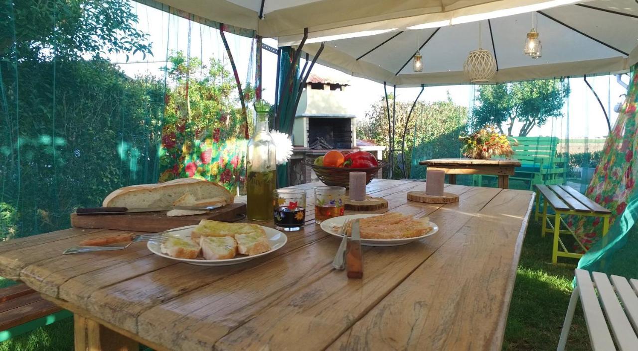Agriturismo Il Cuscino Nel Pagliaio Campiglia Marittima Eksteriør bilde