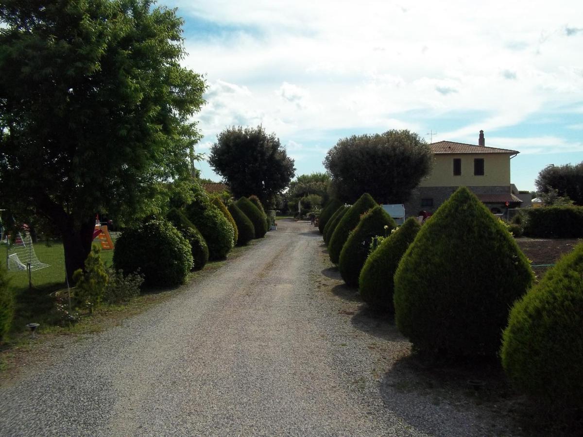 Agriturismo Il Cuscino Nel Pagliaio Campiglia Marittima Eksteriør bilde