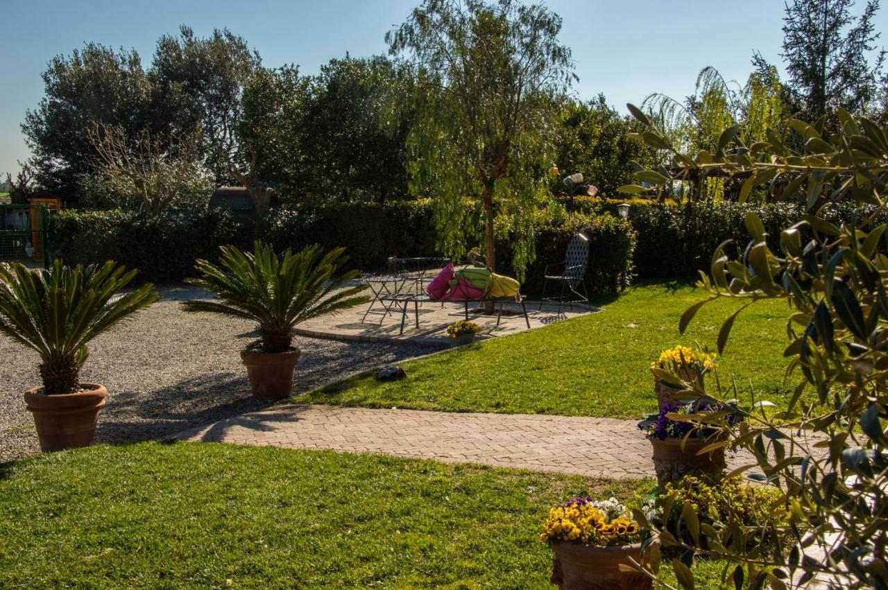 Agriturismo Il Cuscino Nel Pagliaio Campiglia Marittima Eksteriør bilde
